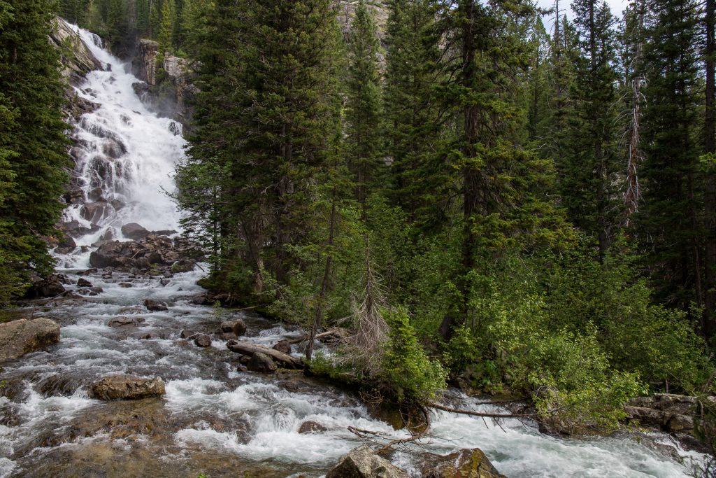 Hidden Falls in Yellowstone National Park