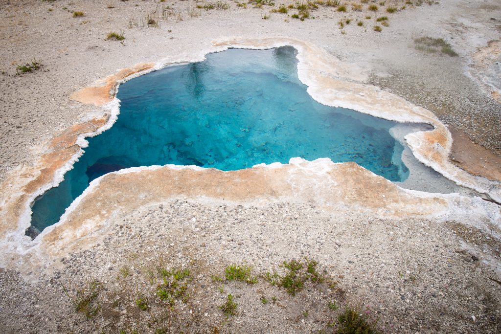 Blue Star Spring, Yellowstone National Park
