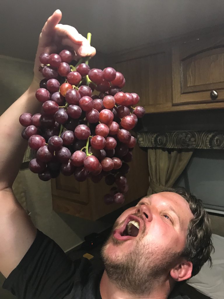 Druiven eten in de caravan