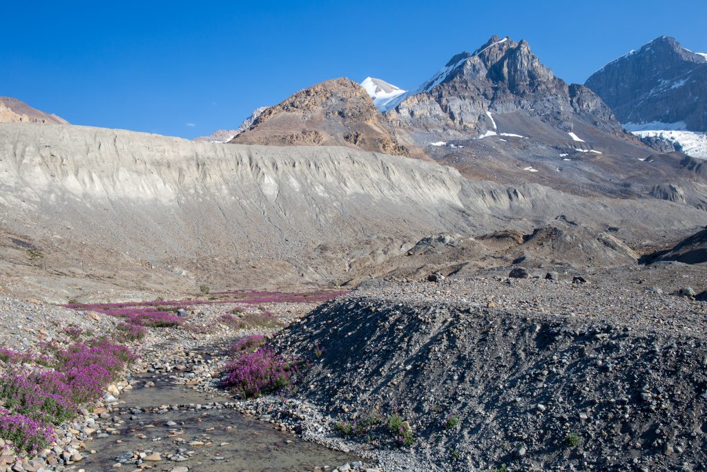 Toe of the Athabasca Glacier Trail