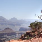 Cedar Ridge aan de South Kaibab Trail in de Grand Canyon Cedar Ridge aan de South Kaibab Trail in Grand Canyon