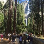 Yosemite National Park Yosemite Fall in Yosemite National Park