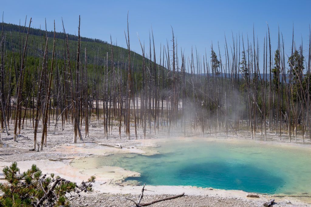 Cistern Spring in Yellowstone National Park