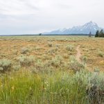 Uitzicht vanaf Potholes Turnout Uitzicht vanaf Potholes Turnout, Grand Teton National Park