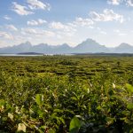 Uitzicht op Jackson Lake en Teton-gebergte vanaf Jackson Lake Lodge Uitzicht op Jackson Lake en Teton-gebergte vanaf Jackson Lake Lodge, Grand Teton National Park